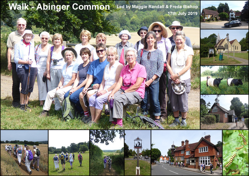 Walk - Abinger Common and North Downs - 17th July 2019